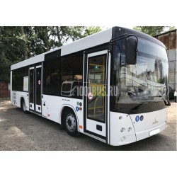 Автобус МАЗ 206